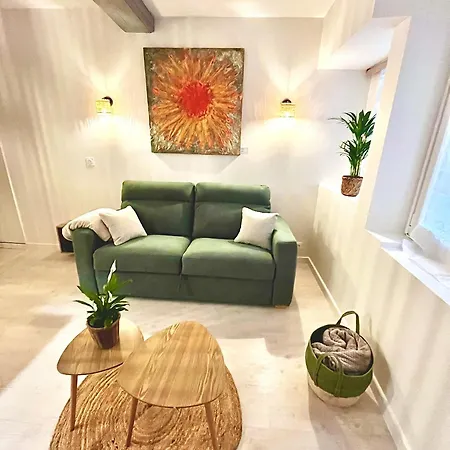 Apartament Le Rubis Centre Historique Neuf *