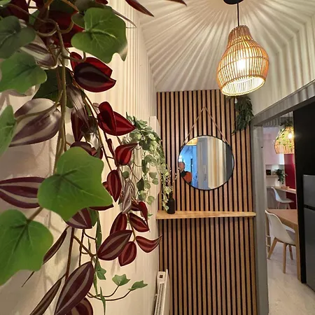 Le Rubis Centre Historique Neuf *