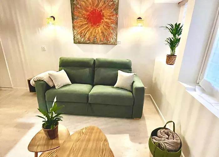 Apartament Le Rubis Centre Historique Neuf *