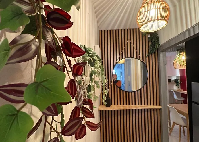 Le Rubis Centre Historique Neuf *